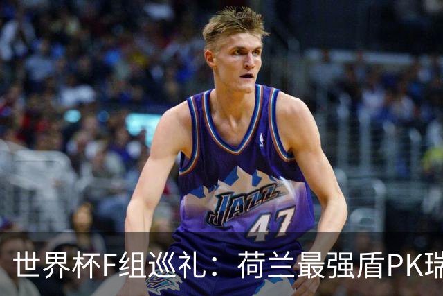 世界杯F组巡礼：荷兰最强盾PK瑞典犀利刀 日本短板明显